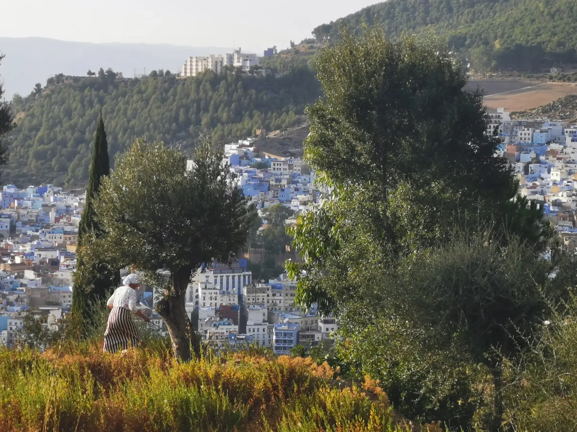 Trip From Tangier : A Day in Chefchaouen & Local Farmhouse - Gallery