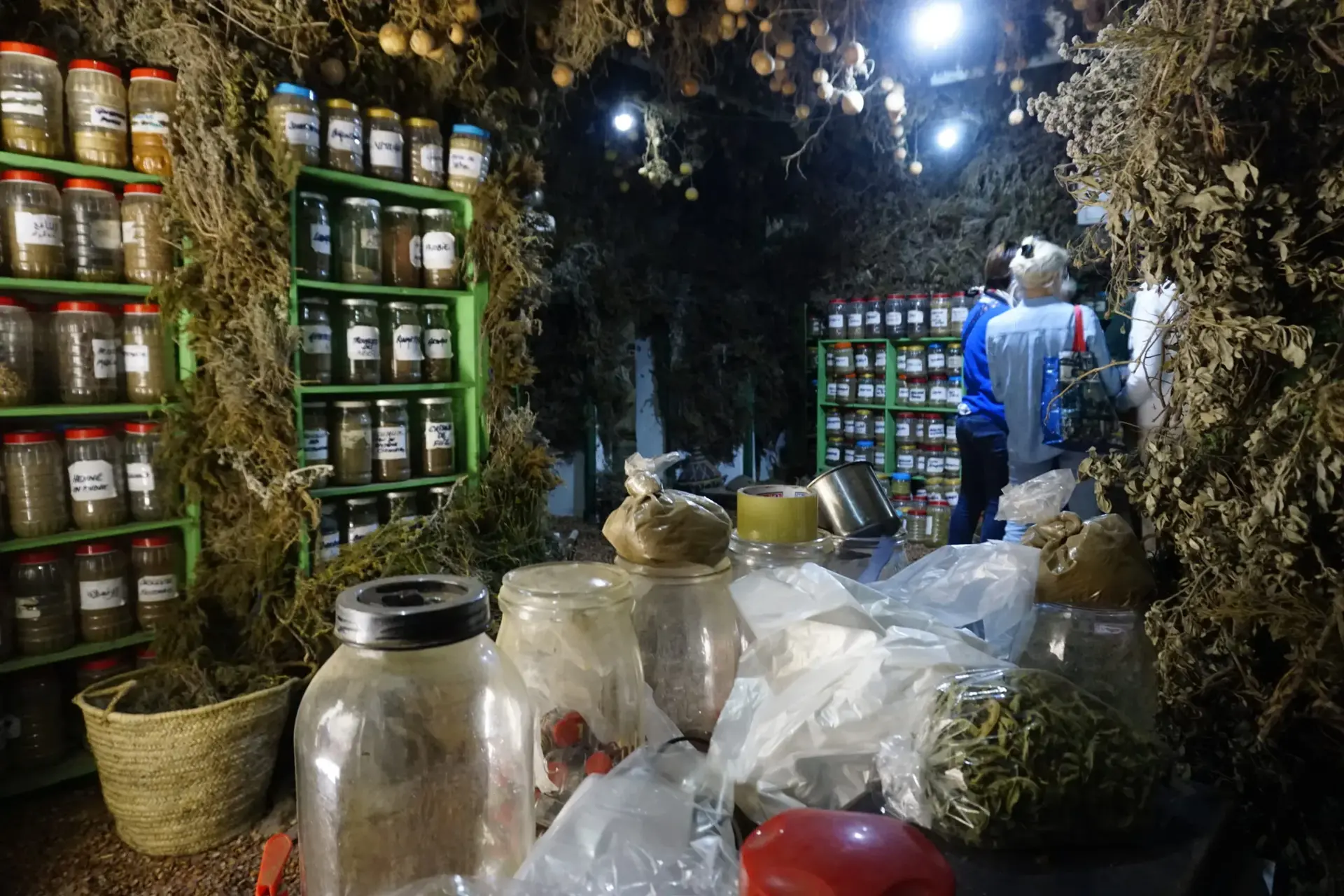 Essaouira Argan Oil Workshop + Argan Forest Excursion - Gallery