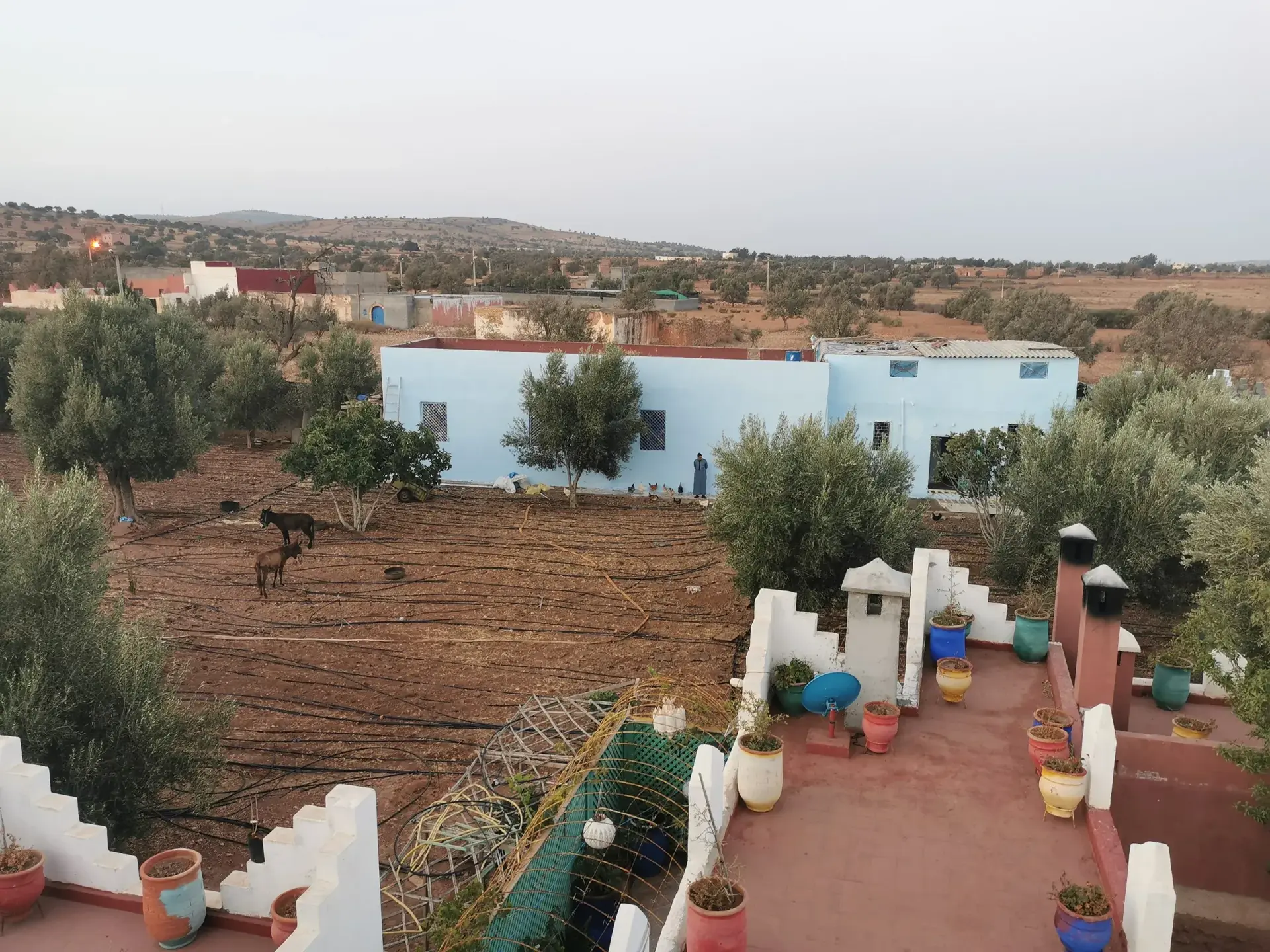 Essaouira Argan Oil Workshop + Argan Forest Excursion - Gallery