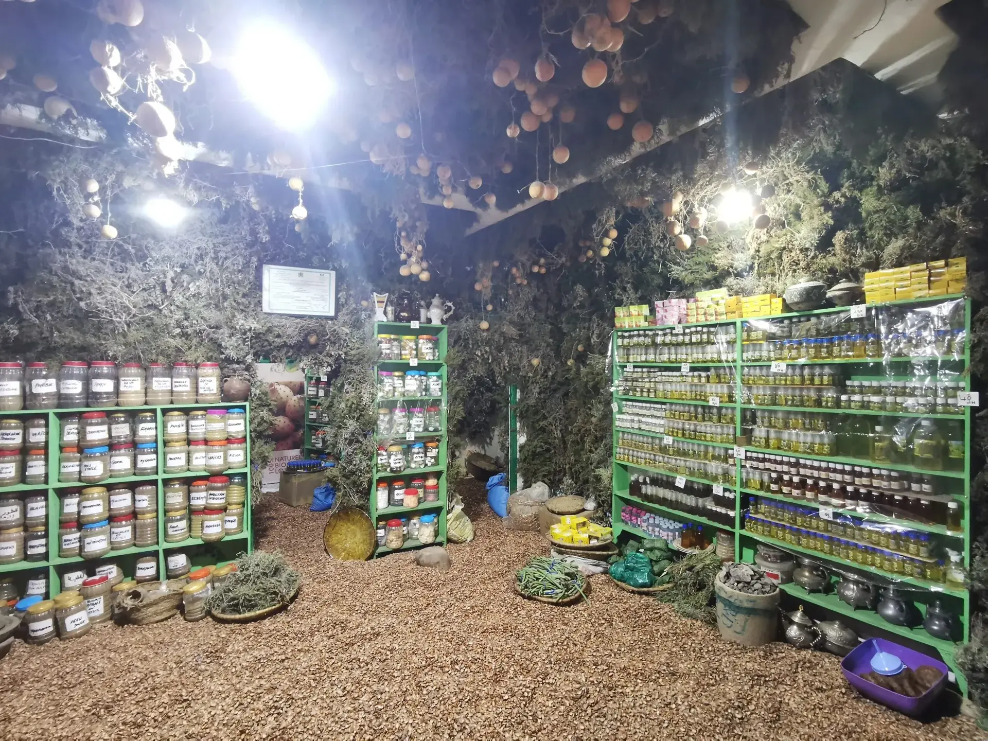 Essaouira Argan Oil Workshop + Argan Forest Excursion - Gallery