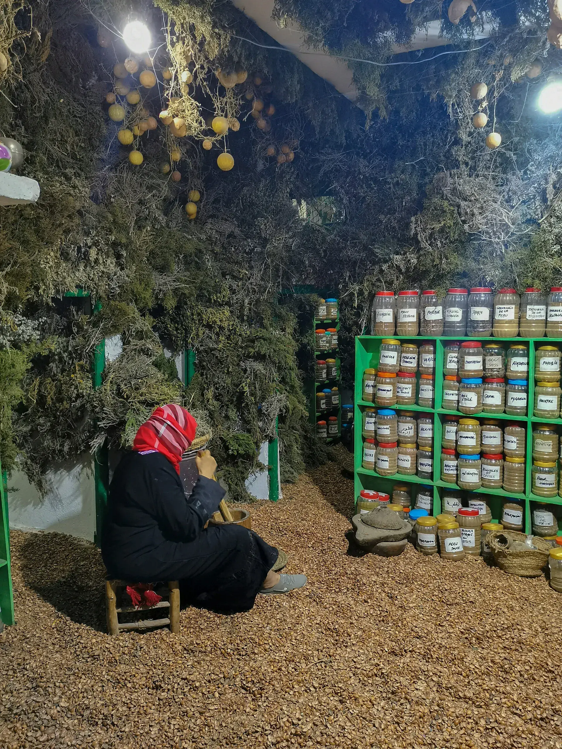 Essaouira Argan Oil Workshop + Argan Forest Excursion