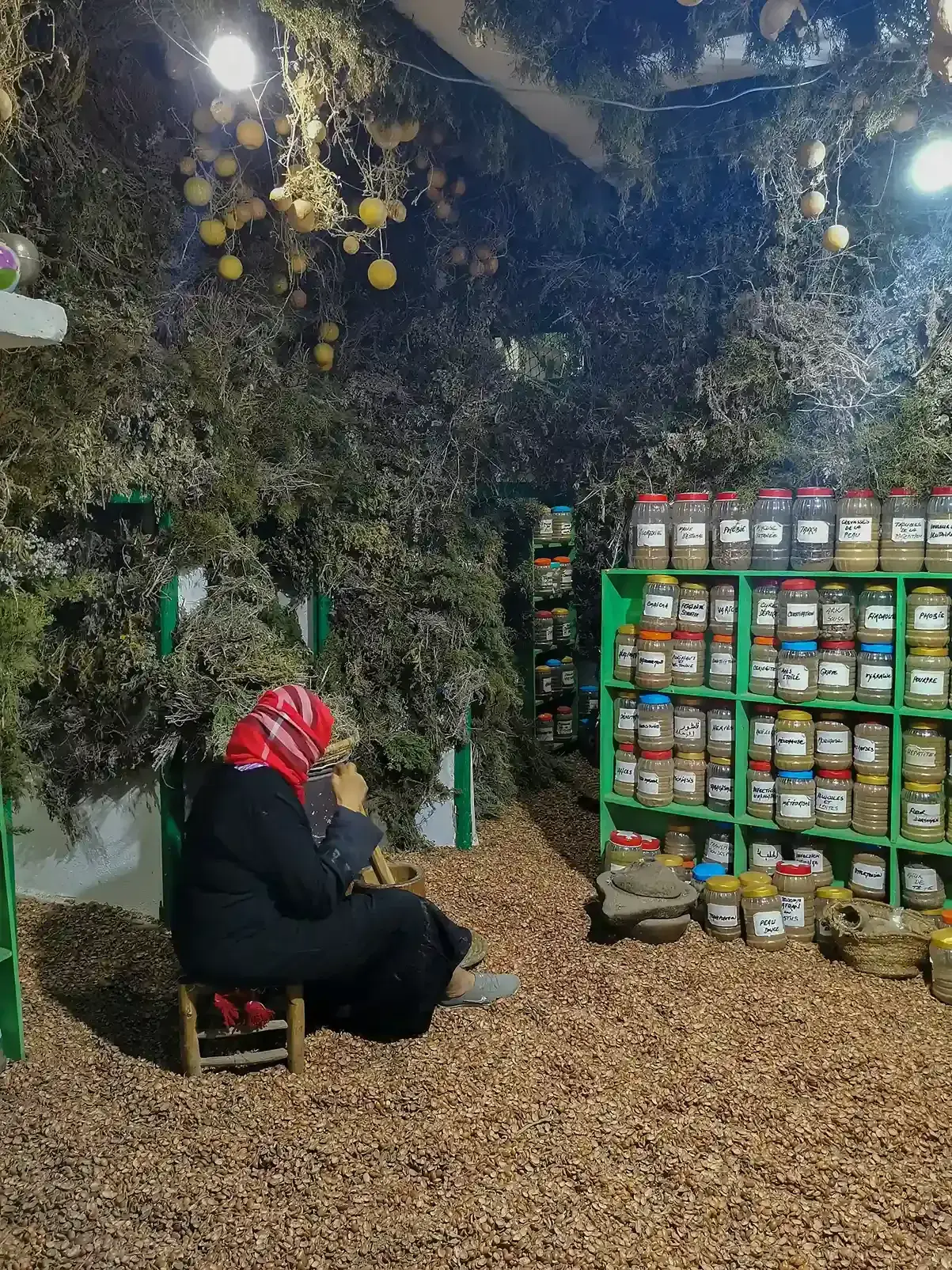 Essaouira Argan Oil Workshop + Argan Forest Excursion - Gallery
