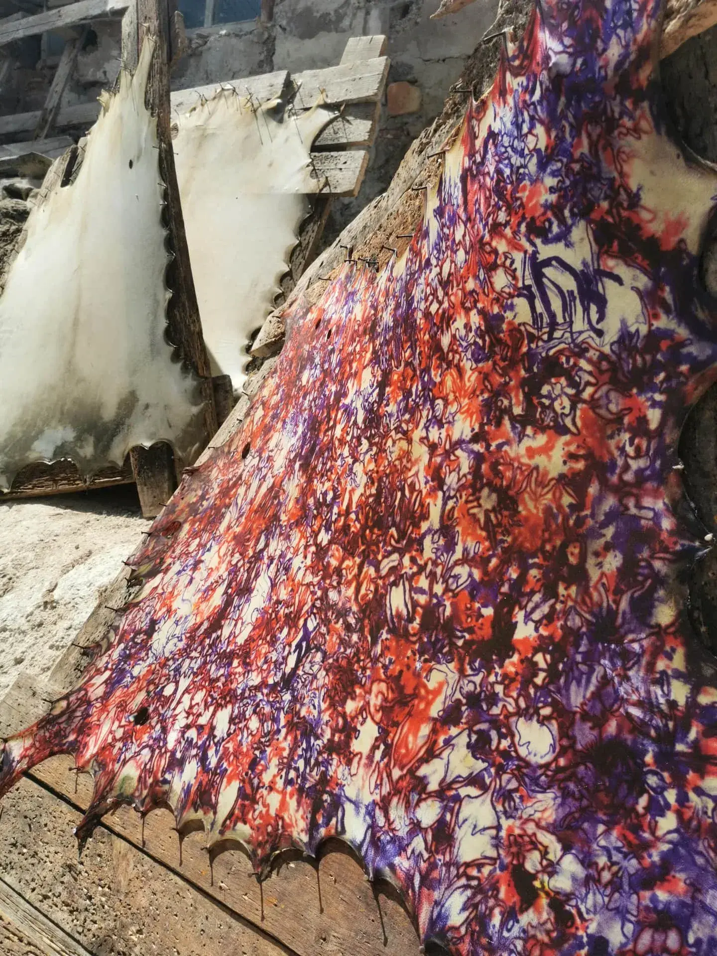 Essaouira: Traditional Tannery Visit - Gallery