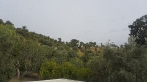 Gallery Thumbnail 7