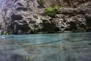 Gallery Thumbnail 1