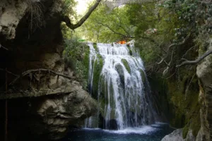 Gallery Thumbnail 2