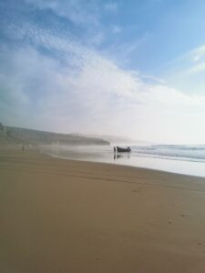 Gallery Thumbnail 1