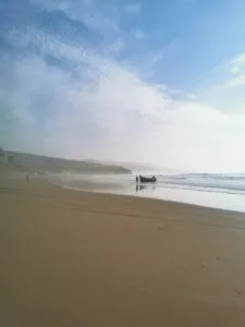 Gallery Thumbnail 1