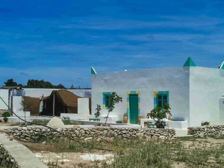 a garden in remote area off the beaten path near essaouira