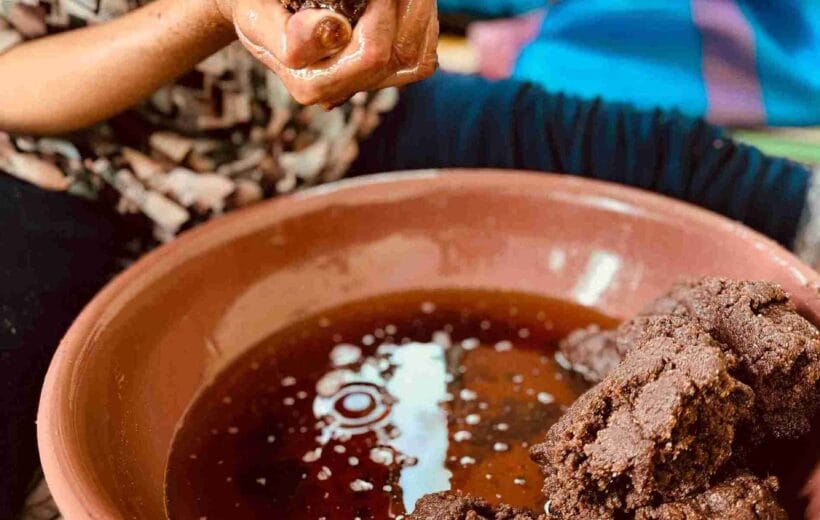 Voyage à l'huile d'argan authentique et sagesse berbère - Découvrez l'or liquide d'Essaouira