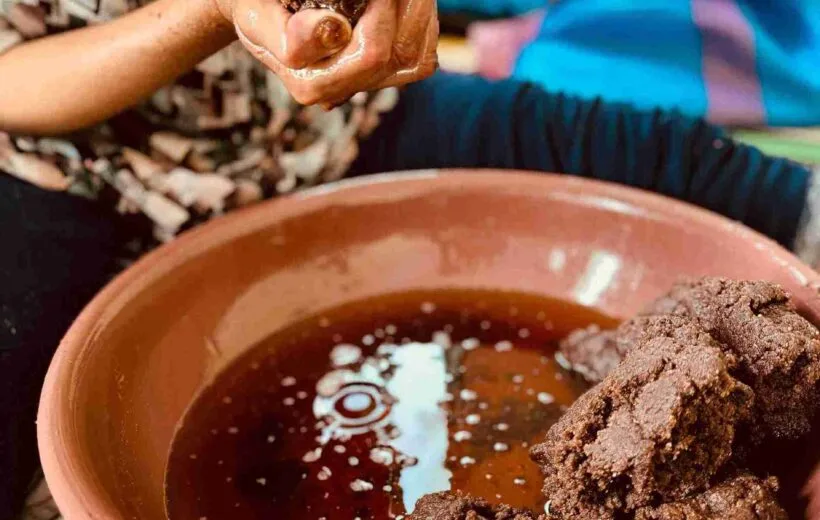 Authentic Argan Oil Journey & Berber Wisdom - Unveil Essaouira's Liquid Gold