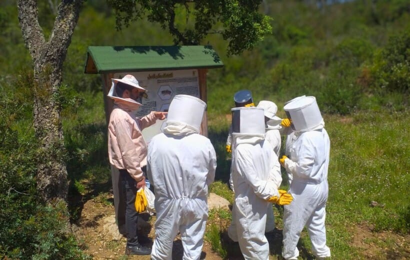 L'expérience complète de l'apiculture : Visite, dégustation et création à Chefchaouen