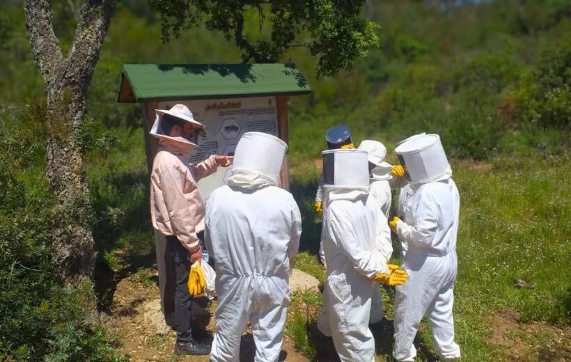 L'expérience complète de l'apiculture : Visite, dégustation et création à Chefchaouen